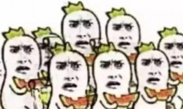 吃瓜群众怎么入境,轻松开启海外探秘之旅