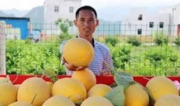 小福吃瓜,揭秘娱乐圈那些不为人知的幕后故事