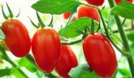 188sx吃瓜,揭秘娱乐圈背后的那些事儿