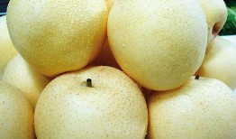 吃瓜社小分社,揭秘娱乐圈幕后故事