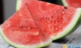 吃瓜容易尿,揭秘吃瓜与尿生成之间的奇妙关系