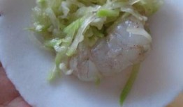 女子吃瓠子瓜,女子误食瓠子瓜引发的健康警示