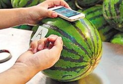 手机上吃瓜,揭秘娱乐圈幕后真相