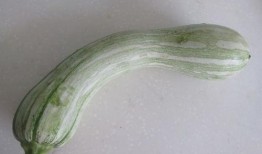 夏天吃吊瓜,吊瓜美食之旅