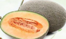 孕晚期吃哈密瓜,营养美味，助力母婴健康
