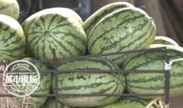 吃瓜价,揭秘娱乐圈明星片酬背后的秘密