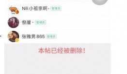 吃瓜情报群密码,密码背后的神秘世界