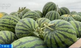 吃瓜李xx,娱乐圈的“瓜王”传奇