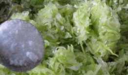 女子吃瓠子瓜,女子误食瓠子瓜引发的健康警示