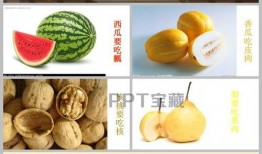 小猴吃瓜讲故事,趣味盎然的夏日童话之旅