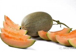 2024国产精品吃瓜,盘点那些让人笑到肚子疼的精彩瞬间