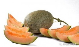 2024国产精品吃瓜,盘点那些让人笑到肚子疼的精彩瞬间