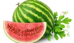 乔儿吃瓜生活,揭秘娱乐圈幕后故事