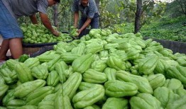 吃瓜精髓,揭秘娱乐圈那些事儿