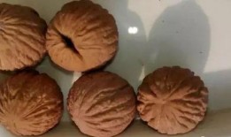 猴头核桃吃瓜,健康生活新体验