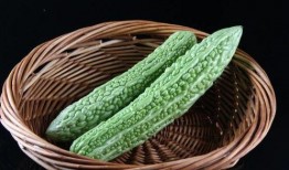 菟子瓜怎么吃,探索美味与健康的完美结合