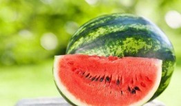 中德英伦联邦吃瓜,跨界美食盛宴，吃瓜群众共享味蕾狂欢