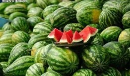 吃瓜网上,吃瓜网带你领略明星幕后故事