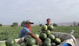 天华吃瓜,揭秘娱乐圈背后的那些事儿