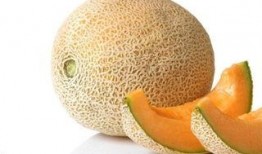 吃哈密瓜长肉,小心长肉陷阱揭秘