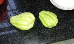 吃兔儿瓜季节,尽享兔儿瓜的鲜美时光