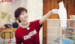 王源吃瓜跺脚,揭秘娱乐圈幕后风云