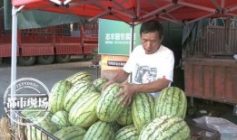 吃瓜价,揭秘娱乐圈明星片酬背后的秘密