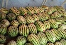 成都大学吃瓜爆料