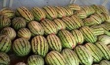 成都大学吃瓜爆料