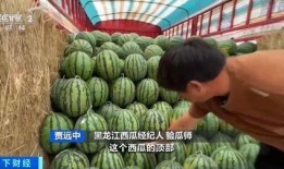 值班室吃瓜,揭秘日常生活中的欢乐瞬间