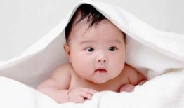 宝宝拍戏吃瓜,小戏骨吃瓜记