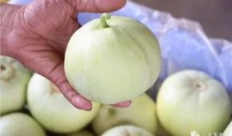 三水甜心吃瓜,揭秘甜蜜背后的瓜界风云