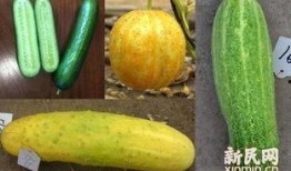 2024国产精品吃瓜,盘点那些让人笑到肚子疼的精彩瞬间