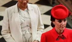 哈利波吃瓜,揭秘魔法世界的吃瓜盛宴