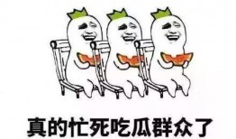 狼人杀吃瓜群众,吃瓜群众视角下的神秘之夜