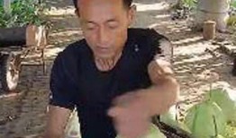 大力吃瓜哥,揭秘“大力吃瓜哥”的瓜界传奇