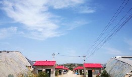 吃瓜村监控,一窥乡村生活百态