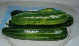 中山必吃榜瓜,探寻中山美食地图的瓜香之旅