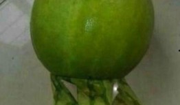 吃捧瓜去皮吗,揭秘吃捧瓜的去皮技巧