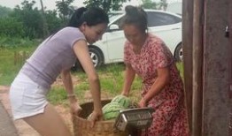 深圳姐妹吃瓜群,揭秘都市女性的社交新潮流