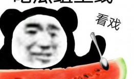 小雪被造谣吃瓜,真相与谣言的较量