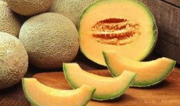醉酒以后吃哈密瓜,一场意外的健康之旅