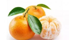 188sx吃瓜,揭秘娱乐圈背后的那些事儿