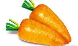 怀孕可以吃的瓜菜,适合孕妇食用的瓜菜大盘点