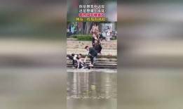 野兽吃瓜群众视频,揭秘网络热点的幕后真相