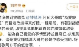 公众号吃瓜的歌,揭秘娱乐圈背后的故事