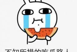 忧郁吃瓜,揭秘瓜农的喜怒哀乐