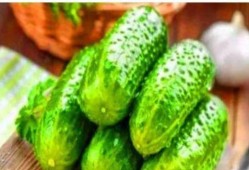 吃瓜无脑系统,吃瓜无脑，真相大白