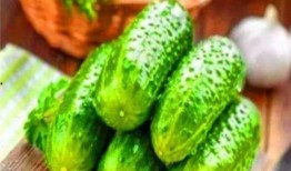 吃瓜无脑系统,吃瓜无脑，真相大白