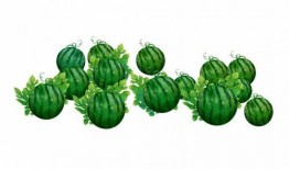 小阿吃瓜,揭秘娱乐圈那些不为人知的幕后故事